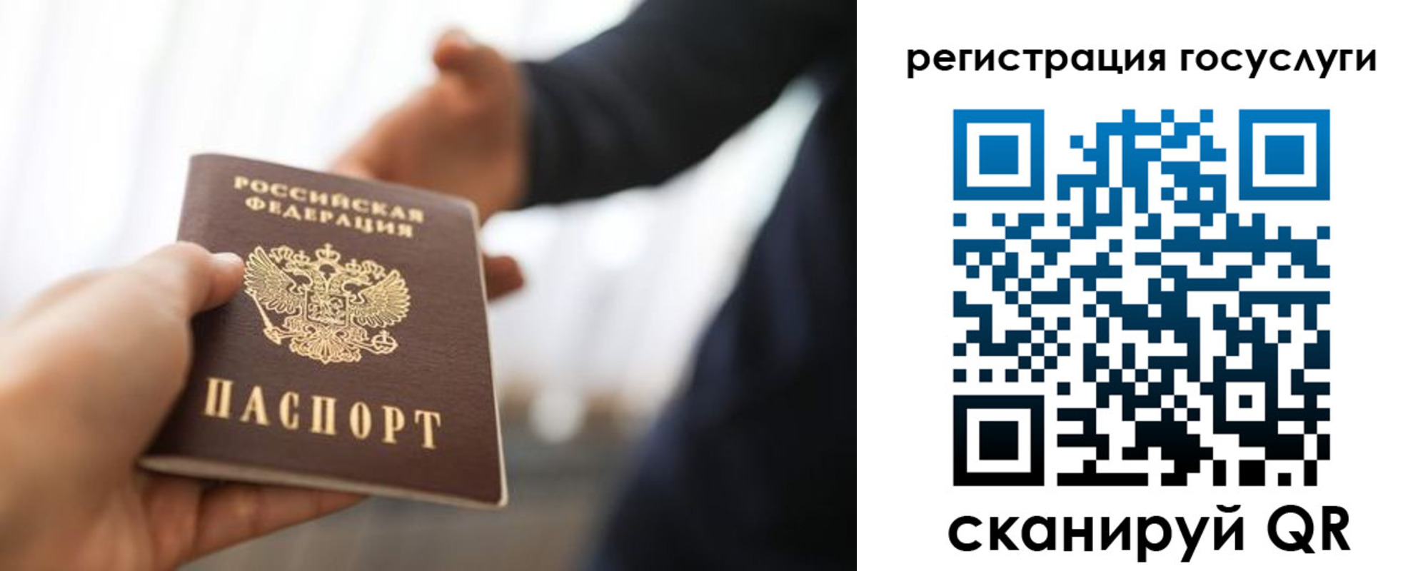 временная регистрация поиск в Коле